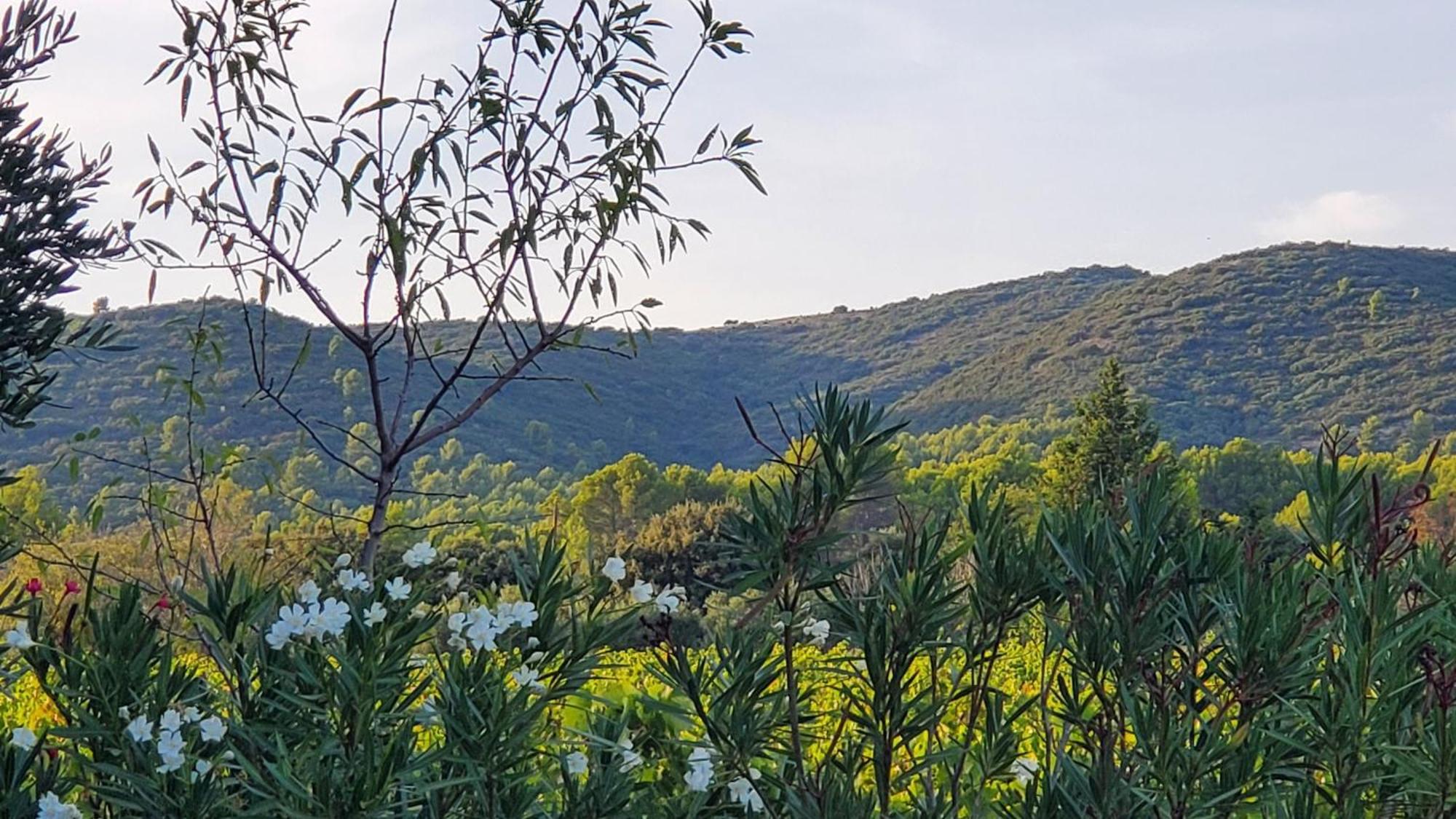 Lauris Reve En Luberon 빌라 외부 사진